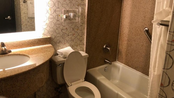 Holiday Inn Asheville East-Blue Ridge Pkwy, an IHG Hotel image 23