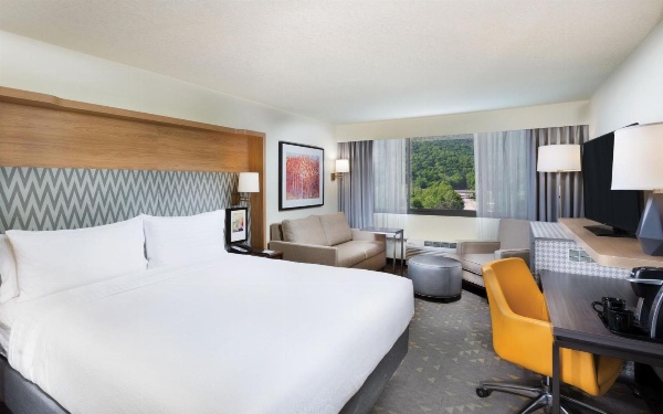 Holiday Inn Asheville East-Blue Ridge Pkwy, an IHG Hotel Main image