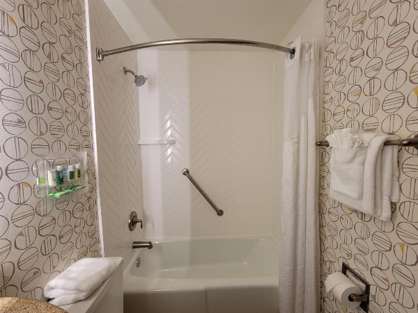 Holiday Inn Asheville East-Blue Ridge Pkwy, an IHG Hotel image 7