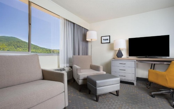 Holiday Inn Asheville East-Blue Ridge Pkwy, an IHG Hotel image 8